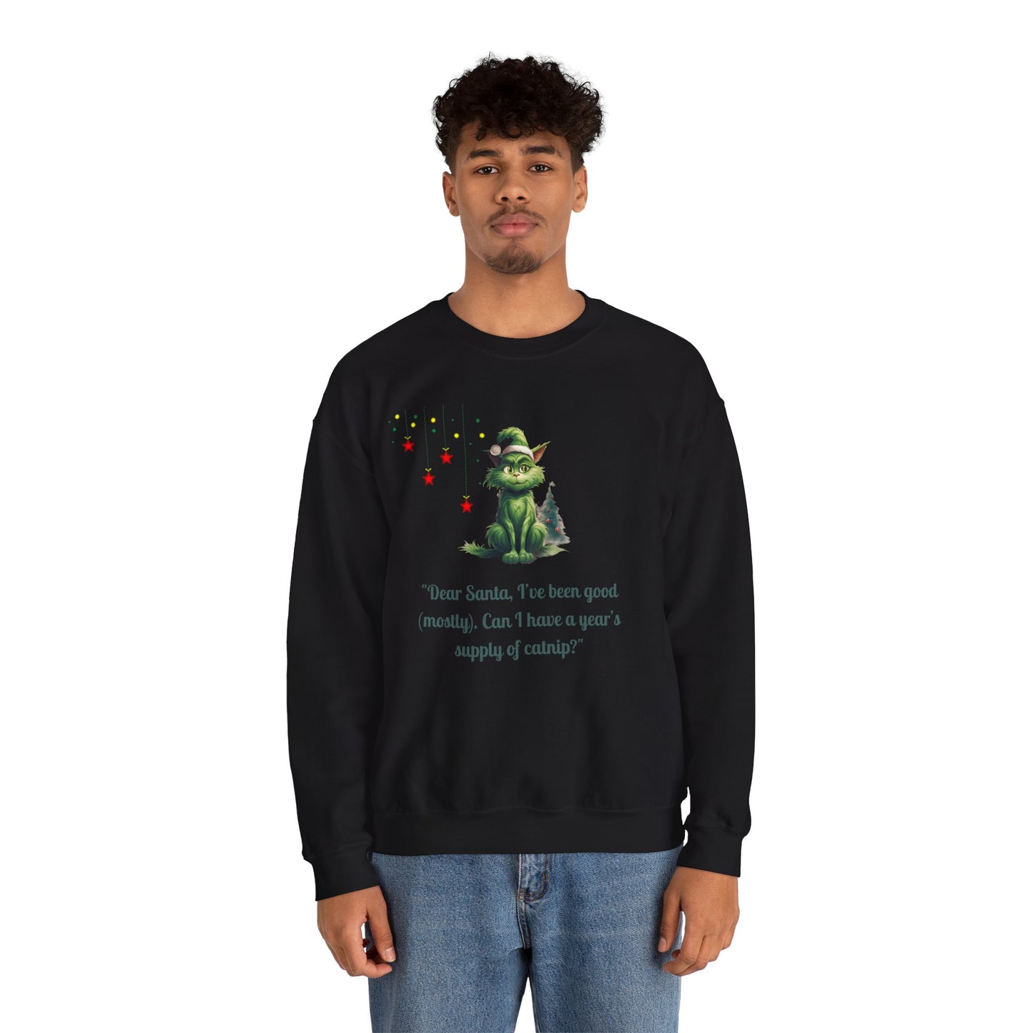 Funny Christmas Cat Sweatshirt - Christmas Crewneck- Holiday Sweatshirt