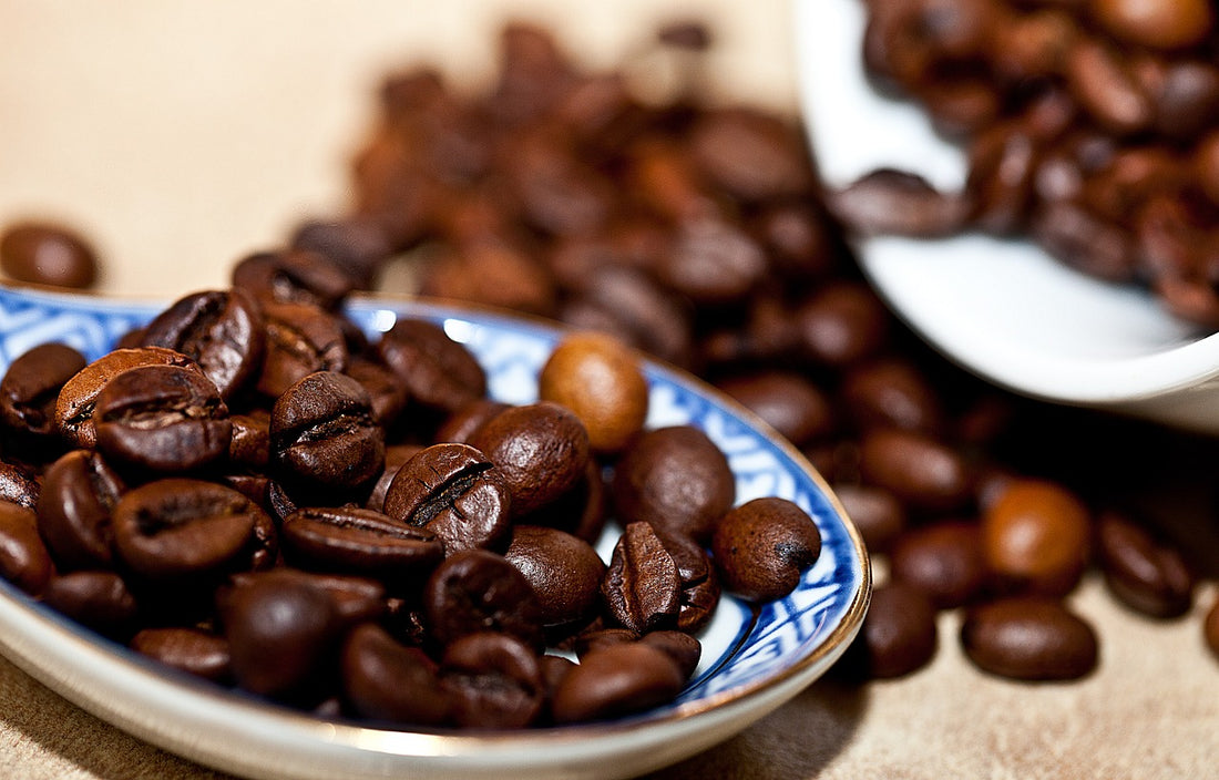 fresh coffee beans