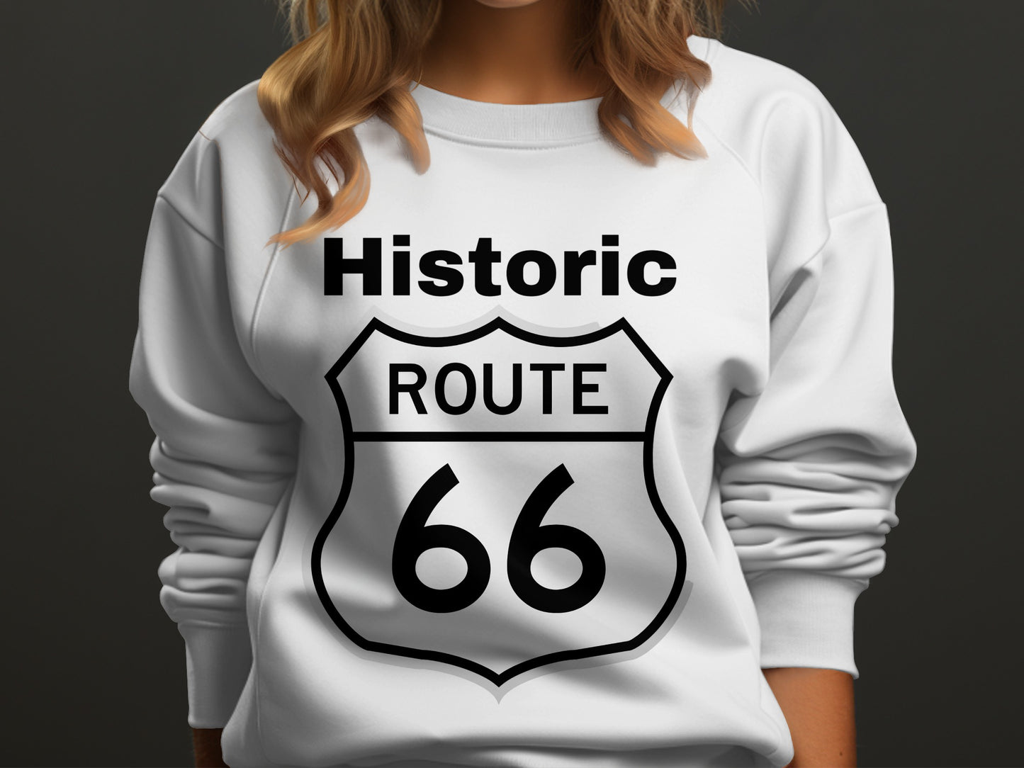 Route 66 Shield: Iconic Americana Accent T-shirt Sweatshirt