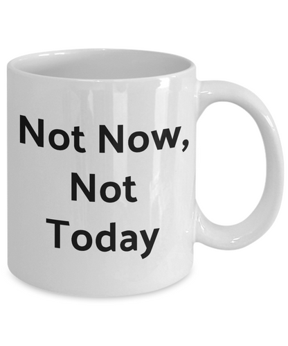 Funny Novelty Coffee Mug-Not Now, Not Today-Cup Gift Tea Women Men With Sayings Sarcastic