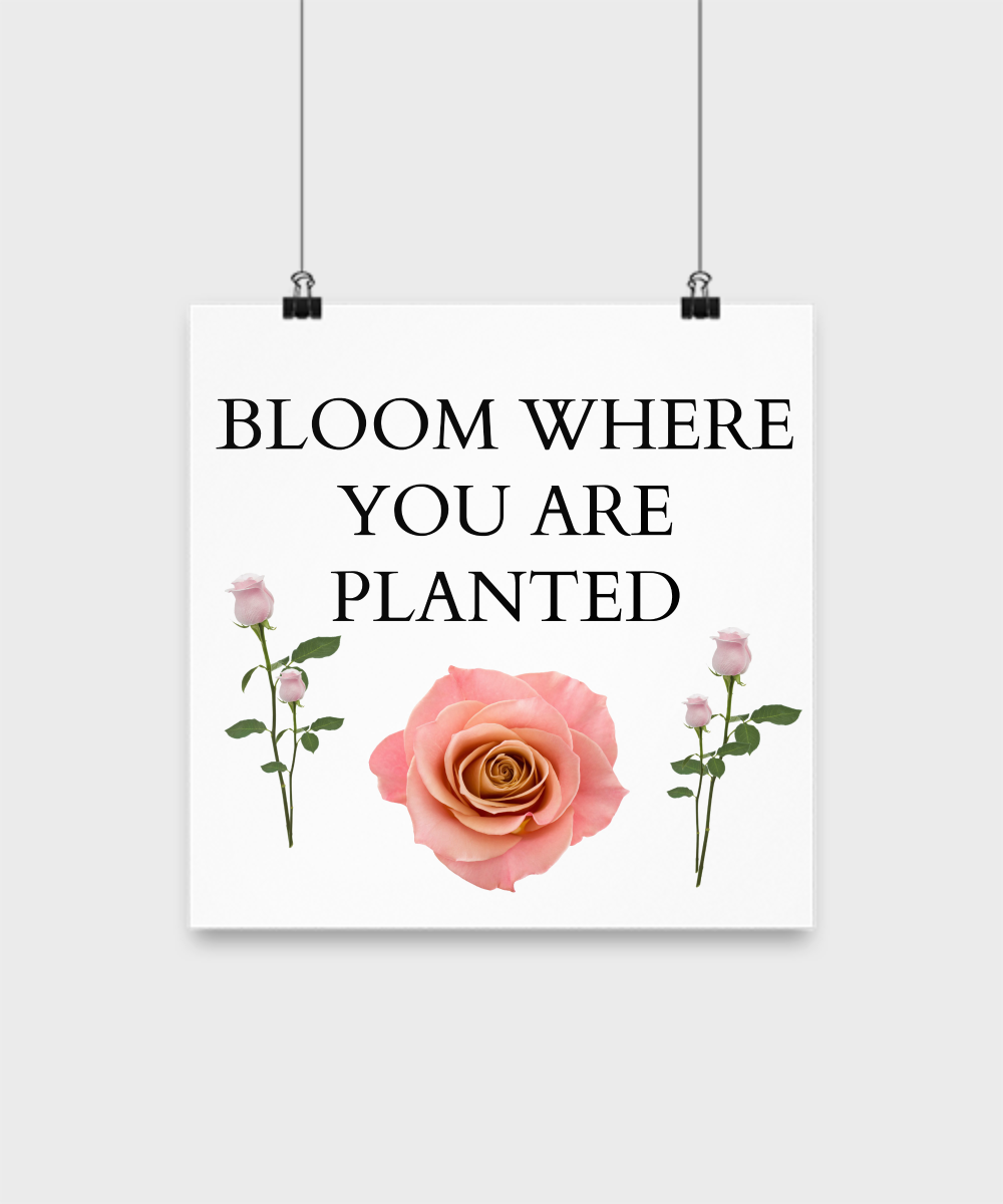 Motivational Poster/Bloom Where You Are Planted/ Novelty Wall Art/Home Decor/Wall Hanging