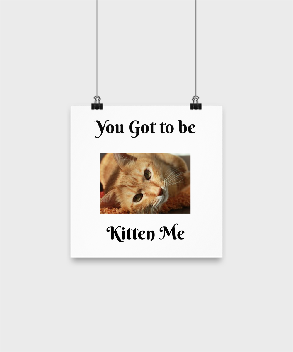 You Got To Be Kitten Me - 10" Poster Wall Art Decor- Home Den Living Room Hanging Funny
