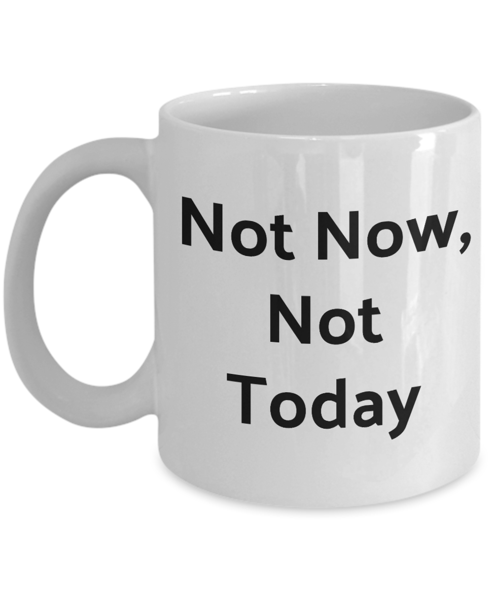 Funny Novelty Coffee Mug-Not Now, Not Today-Cup Gift Tea Women Men With Sayings Sarcastic