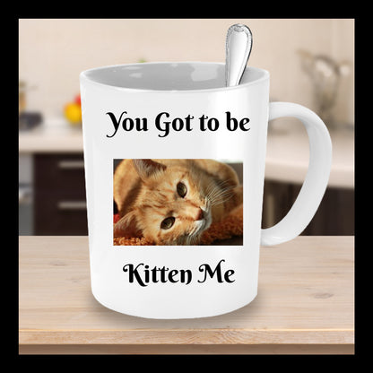 You Got To Be Kitten Me- Novelty Coffee Mug- Funny Cat Gift Cup Cat Owners Lovers