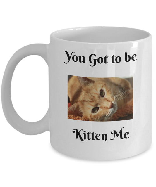 You Got To Be Kitten Me- Novelty Coffee Mug- Funny Cat Gift Cup Cat Owners Lovers