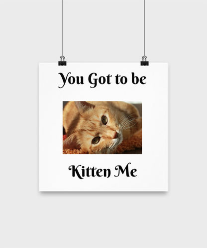 You Got To Be Kitten Me- 12" Funny Poster- Wall Art Home Decor Wall Hanging Art Design