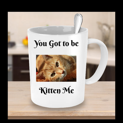 You Got To Be Kitten Me- Novelty Coffee Mug- Funny Cat Gift Cup Cat Owners Lovers